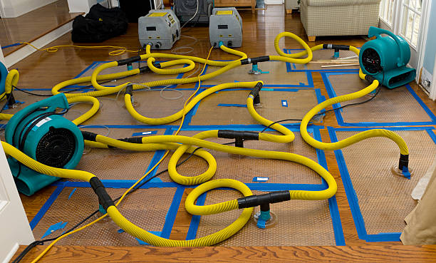 Professional Basement Flood Cleanup technician working in Union City, TN